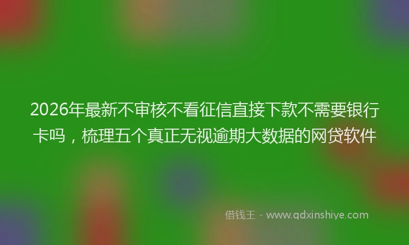 2026年最新不审核不看征信直接下款不需要银行卡吗，梳理五个真正无视逾期大数据的网贷软件