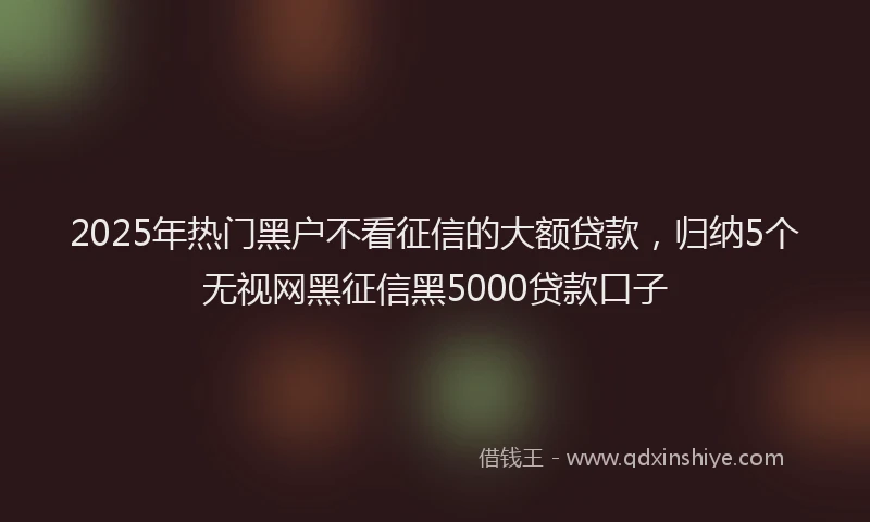 2025年热门黑户不看征信的大额贷款，归纳5个无视网黑征信黑5000贷款口子