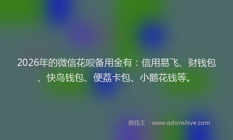 2026年的微信花呗备用金有：信用易飞、财钱包、快鸟钱包、便荔卡包、小鹅花钱等。