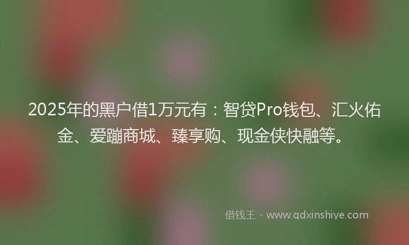 2025年的黑户借1万元有：智贷Pro钱包、汇火佑金、爱蹦商城、臻享购、现金侠快融等。