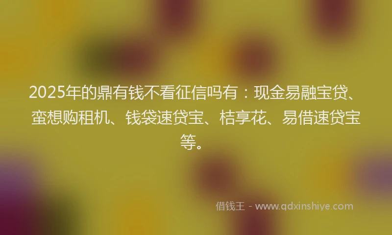 2025年的鼎有钱不看征信吗有：现金易融宝贷、蛮想购租机、钱袋速贷宝、桔享花、易借速贷宝等。