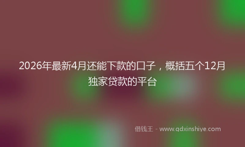 2026年最新4月还能下款的口子，概括五个12月独家贷款的平台