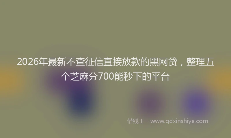 2026年最新不查征信直接放款的黑网贷，整理五个芝麻分700能秒下的平台