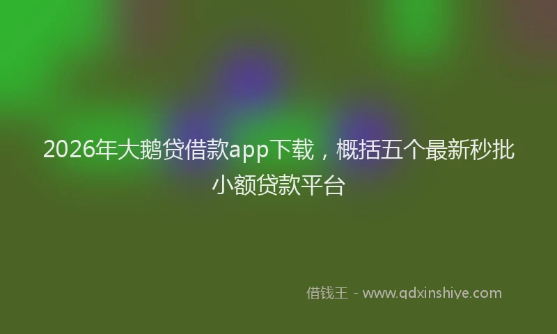 2026年大鹅贷借款app下载,概括五个最新秒批小额贷款平台