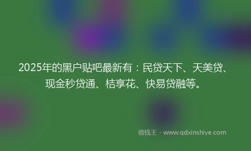 2025年的黑户贴吧最新有：民贷天下、天美贷、现金秒贷通、桔享花、快易贷融等。