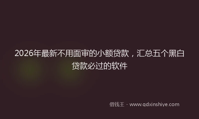 2026年最新不用面审的小额贷款，汇总五个黑白贷款必过的软件