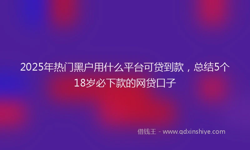 2025年热门黑户用什么平台可贷到款，总结5个18岁必下款的网贷口子