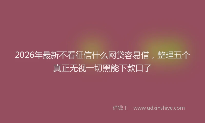 2026年最新不看征信什么网贷容易借，整理五个真正无视一切黑能下款口子