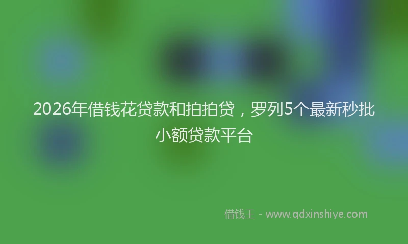 2026年借钱花贷款和拍拍贷，罗列5个最新秒批小额贷款平台