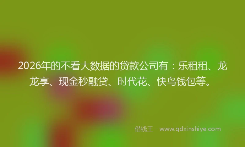 2026年的不看大数据的贷款公司有：乐租租、龙龙享、现金秒融贷、时代花、快鸟钱包等。