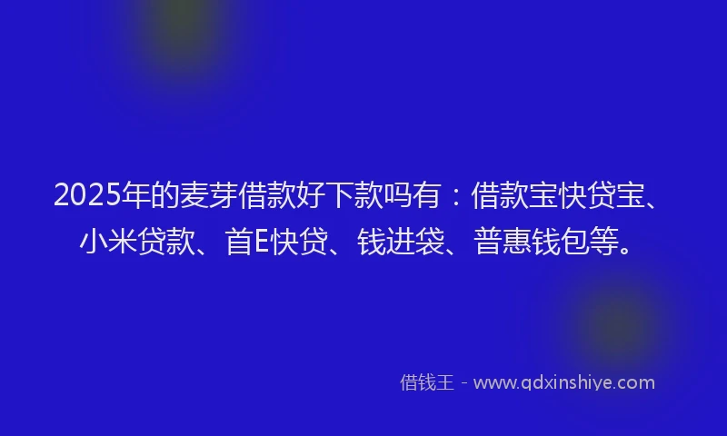 2025年的麦芽借款好下款吗有:借款宝快贷宝、小米贷款、首E快贷、钱进袋、普惠钱包等。