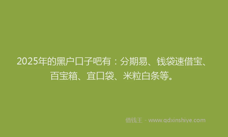 2025年的黑户口子吧有:分期易、钱袋速借宝、百宝箱、宜口袋、米粒白条等。