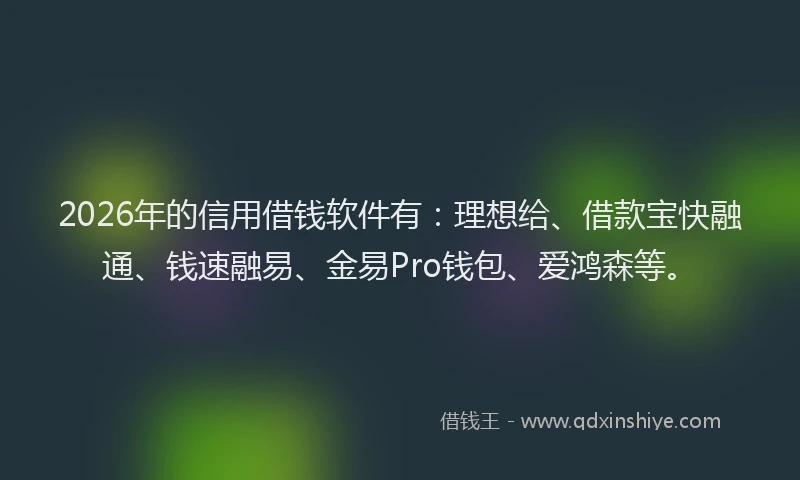 2026年的信用借钱软件有：理想给、借款宝快融通、钱速融易、金易Pro钱包、爱鸿森等。