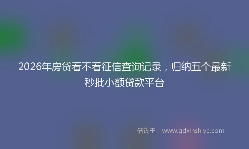 2026年房贷看不看征信查询记录，归纳五个最新秒批小额贷款平台
