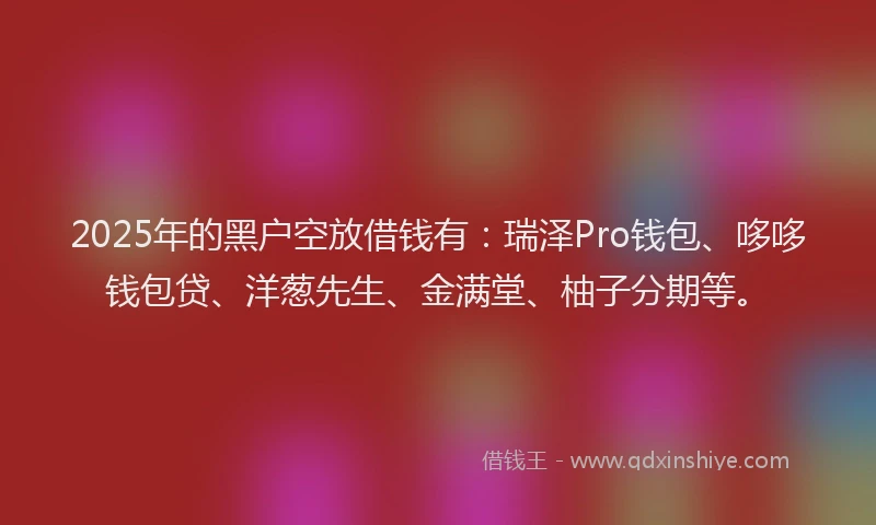 2025年的黑户空放借钱有：瑞泽Pro钱包、哆哆钱包贷、洋葱先生、金满堂、柚子分期等。