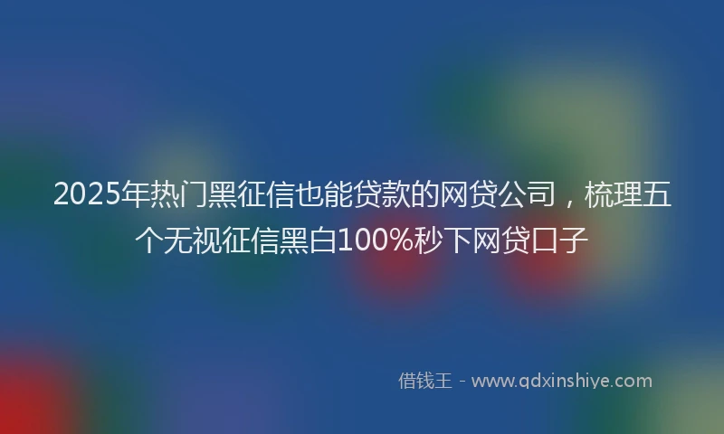 2025年热门黑征信也能贷款的网贷公司,梳理五个无视征信黑白100%秒下网贷口子