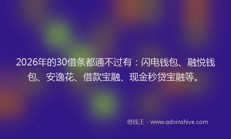 2026年的30借条都通不过有：闪电钱包、融悦钱包、安逸花、借款宝融、现金秒贷宝融等。