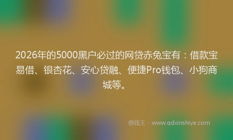 2026年的5000黑户必过的网贷赤兔宝有：借款宝易借、银杏花、安心贷融、便捷Pro钱包、小狗商城等。