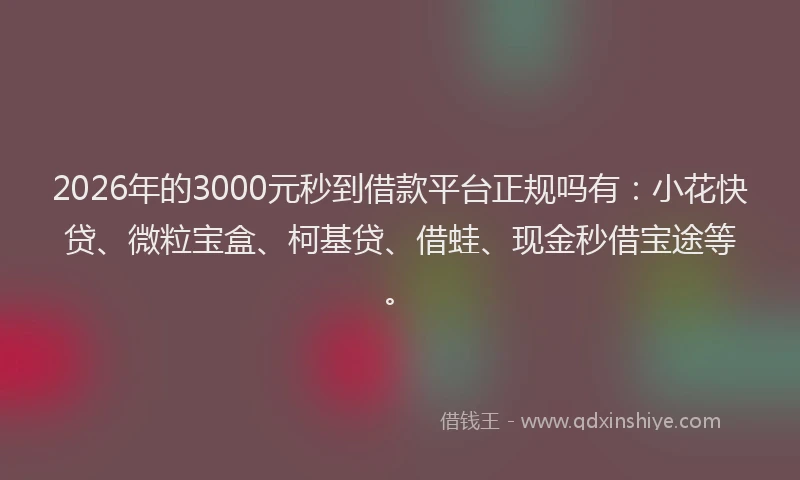 2026年的3000元秒到借款平台正规吗有：小花快贷、微粒宝盒、柯基贷、借蛙、现金秒借宝途等。