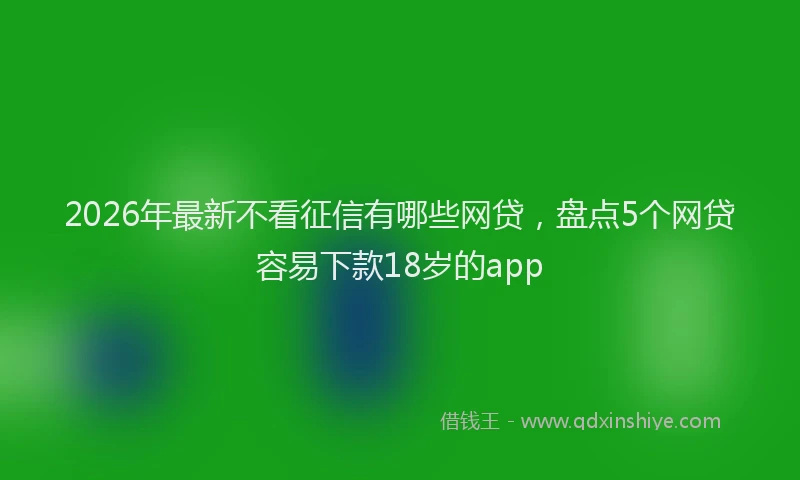2026年最新不看征信有哪些网贷,盘点5个网贷容易下款18岁的app