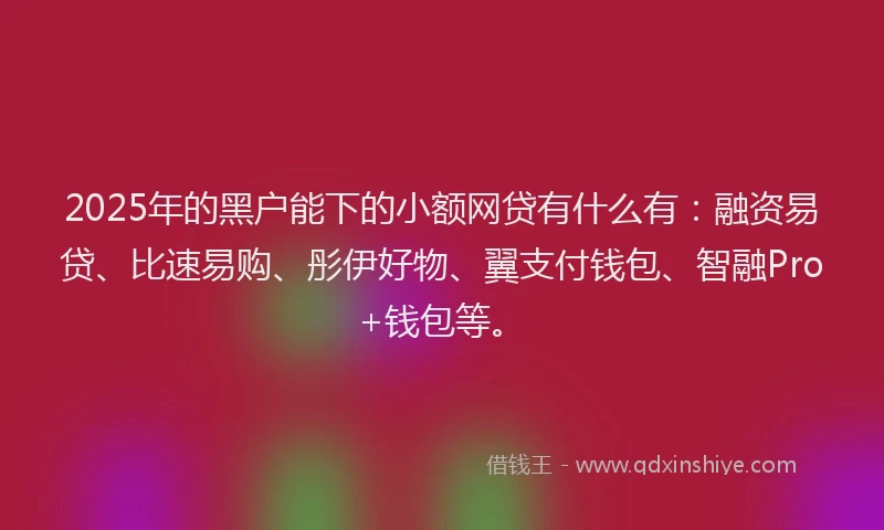 2025年的黑户能下的小额网贷有什么有：融资易贷、比速易购、彤伊好物、翼支付钱包、智融Pro+钱包等。