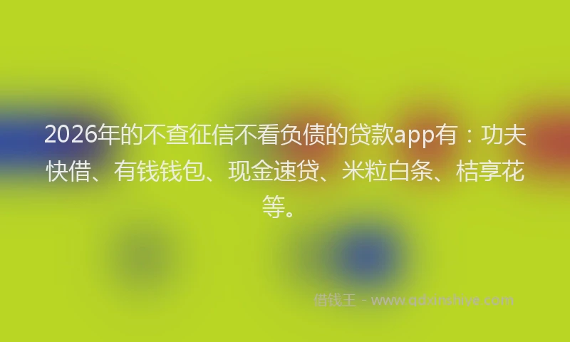 2026年的不查征信不看负债的贷款app有:功夫快借、有钱钱包、现金速贷、米粒白条、桔享花等。