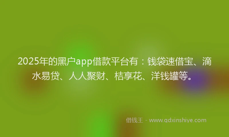 2025年的黑户app借款平台有:钱袋速借宝、滴水易贷、人人聚财、桔享花、洋钱罐等。