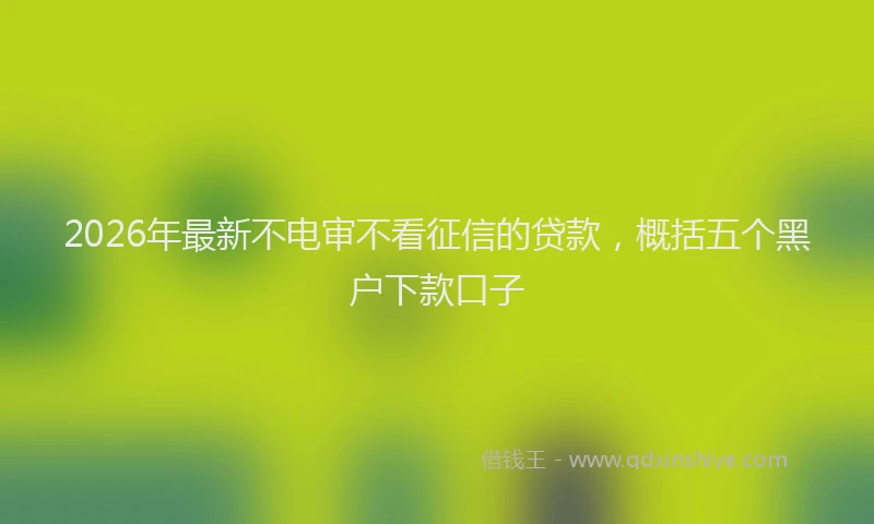2026年最新不电审不看征信的贷款,概括五个黑户下款口子