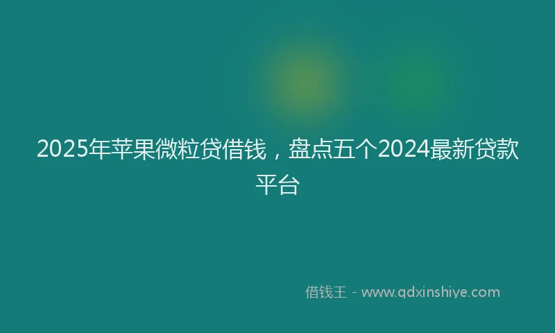 2025年苹果微粒贷借钱,盘点五个2024最新贷款平台