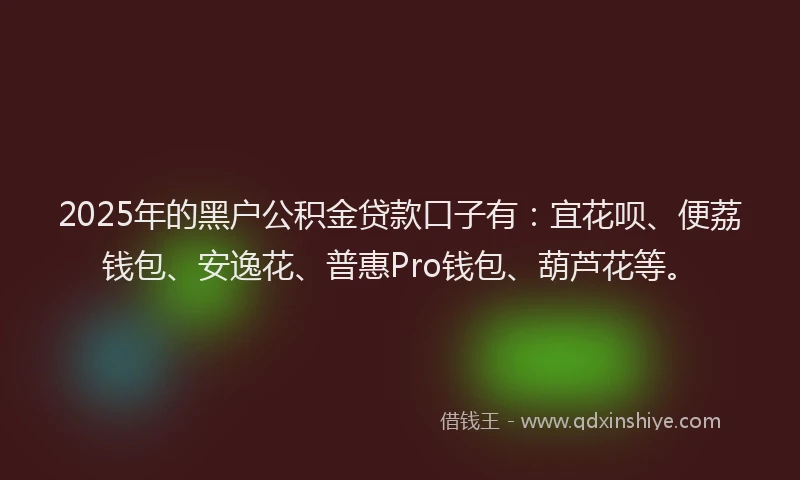 2025年的黑户公积金贷款口子有:宜花呗、便荔钱包、安逸花、普惠Pro钱包、葫芦花等。