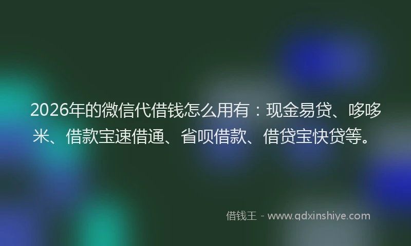 2026年的微信代借钱怎么用有：现金易贷、哆哆米、借款宝速借通、省呗借款、借贷宝快贷等。