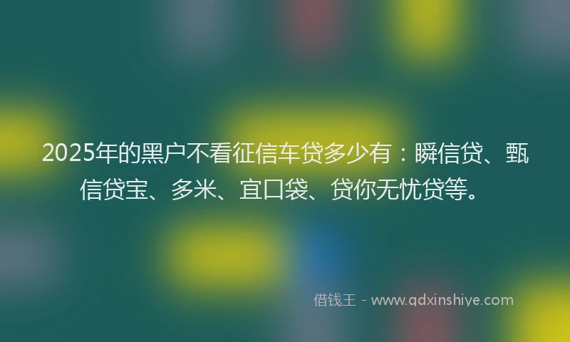 2025年的黑户不看征信车贷多少有：瞬信贷、甄信贷宝、多米、宜口袋、贷你无忧贷等。