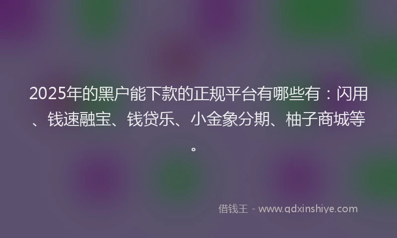 2025年的黑户能下款的正规平台有哪些有：闪用、钱速融宝、钱贷乐、小金象分期、柚子商城等。