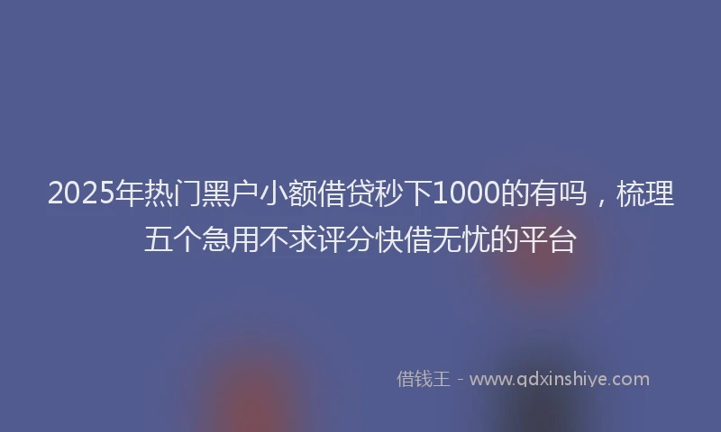 2025年热门黑户小额借贷秒下1000的有吗,梳理五个急用不求评分快借无忧的平台
