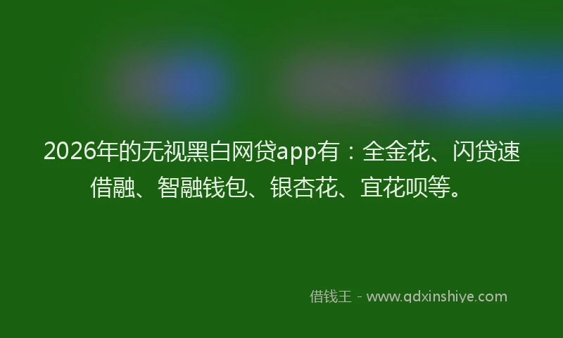 2026年的无视黑白网贷app有：全金花、闪贷速借融、智融钱包、银杏花、宜花呗等。