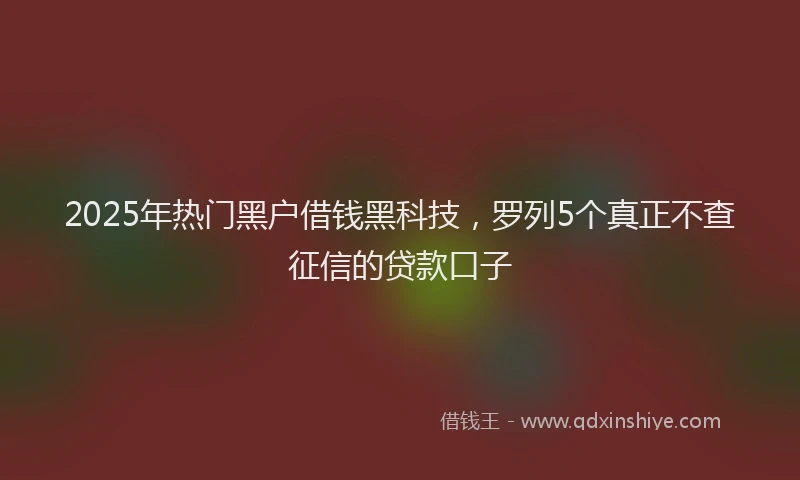 2025年热门黑户借钱黑科技,罗列5个真正不查征信的贷款口子