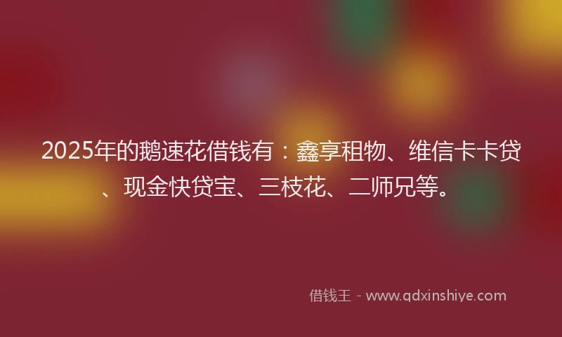 2025年的鹅速花借钱有:鑫享租物、维信卡卡贷、现金快贷宝、三枝花、二师兄等。