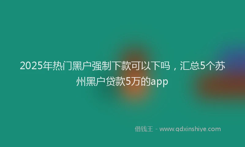 2025年热门黑户强制下款可以下吗,汇总5个苏州黑户贷款5万的app