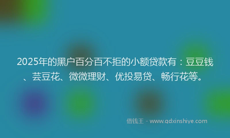 2025年的黑户百分百不拒的小额贷款有:豆豆钱、芸豆花、微微理财、优投易贷、畅行花等。