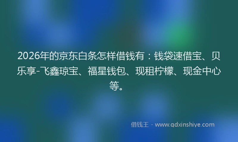 2026年的京东白条怎样借钱有：钱袋速借宝、贝乐享-飞鑫琼宝、福星钱包、现租柠檬、现金中心等。