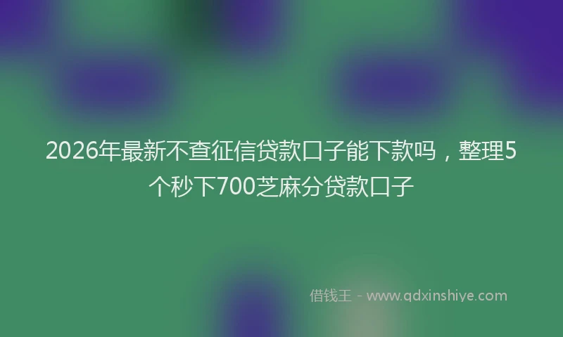 2026年最新不查征信贷款口子能下款吗，整理5个秒下700芝麻分贷款口子