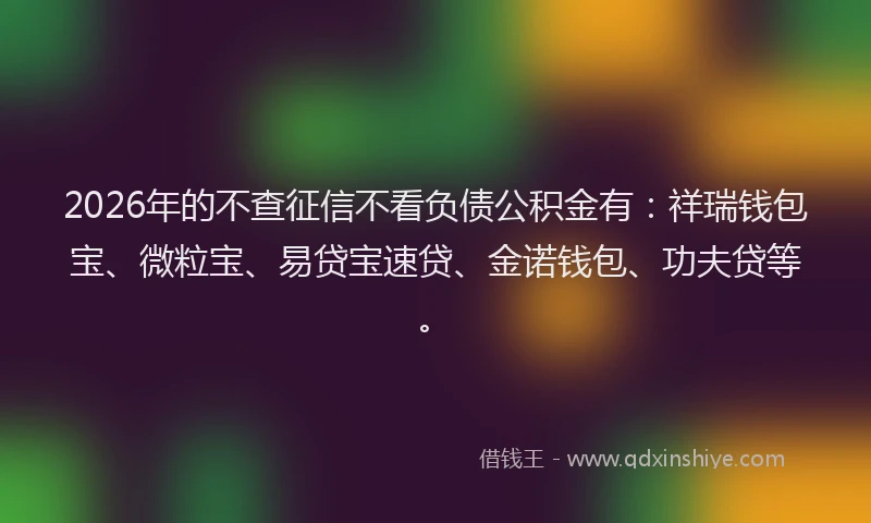 2026年的不查征信不看负债公积金有:祥瑞钱包宝、微粒宝、易贷宝速贷、金诺钱包、功夫贷等。