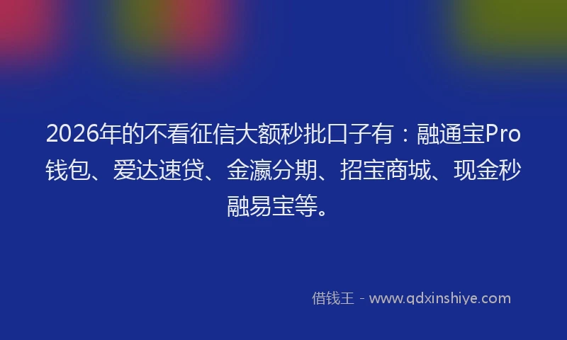 2026年的不看征信大额秒批口子有：融通宝Pro钱包、爱达速贷、金瀛分期、招宝商城、现金秒融易宝等。