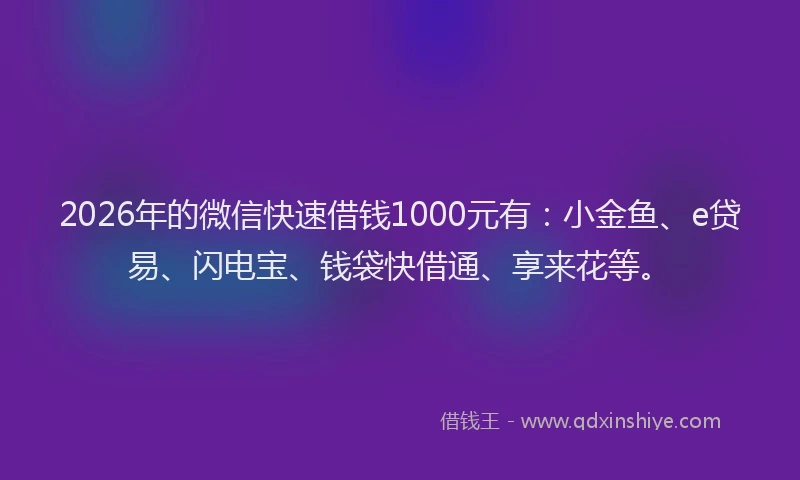 2026年的微信快速借钱1000元有:小金鱼、e贷易、闪电宝、钱袋快借通、享来花等。