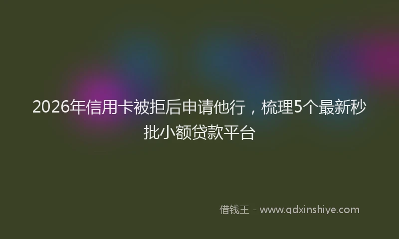 2026年信用卡被拒后申请他行,梳理5个最新秒批小额贷款平台