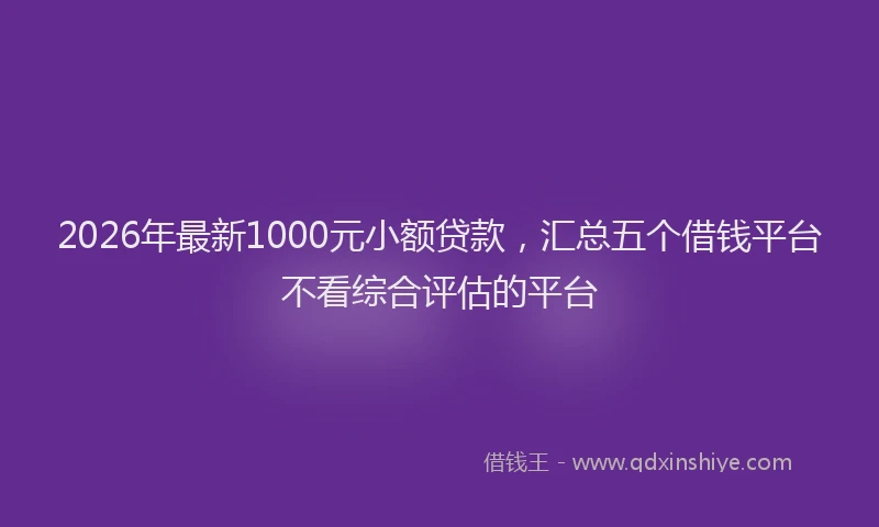 2026年最新1000元小额贷款，汇总五个借钱平台不看综合评估的平台