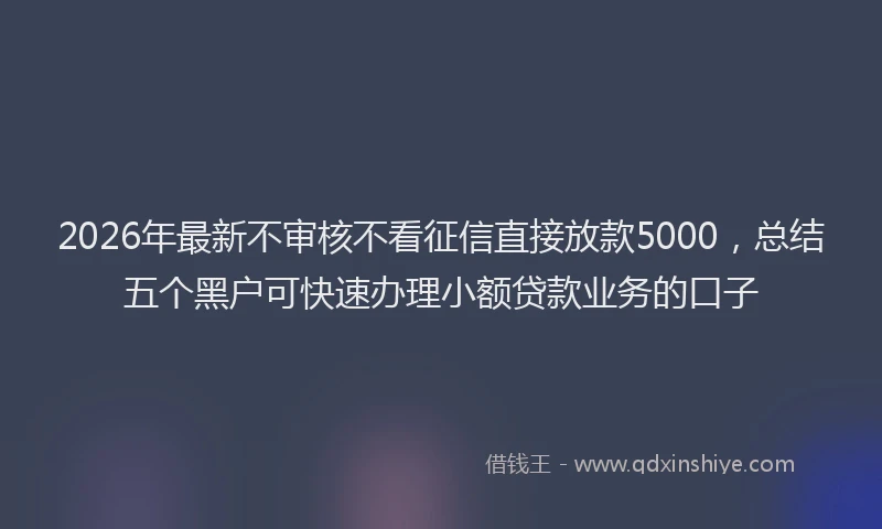 2026年最新不审核不看征信直接放款5000，总结五个黑户可快速办理小额贷款业务的口子