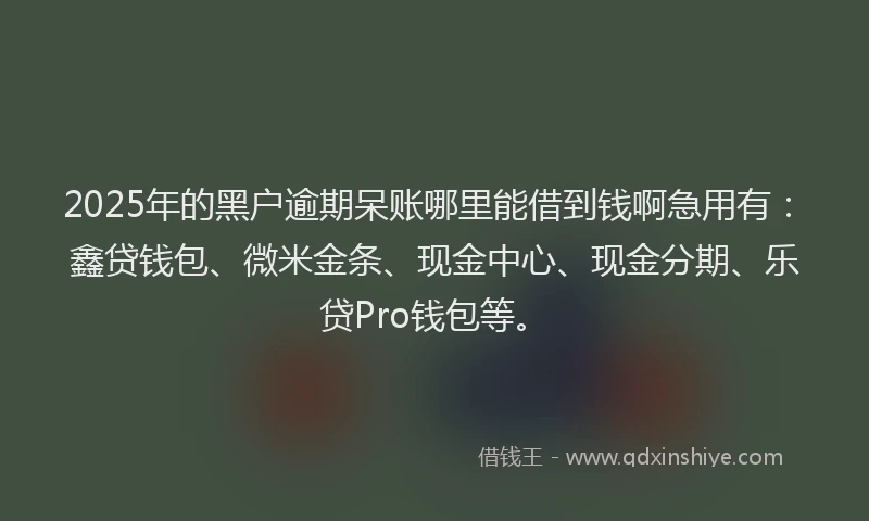 2025年的黑户逾期呆账哪里能借到钱啊急用有：鑫贷钱包、微米金条、现金中心、现金分期、乐贷Pro钱包等。