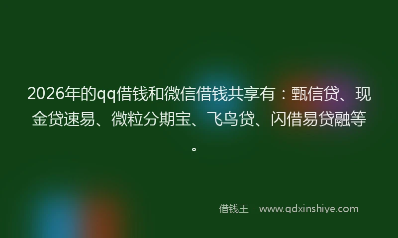 2026年的qq借钱和微信借钱共享有:甄信贷、现金贷速易、微粒分期宝、飞鸟贷、闪借易贷融等。