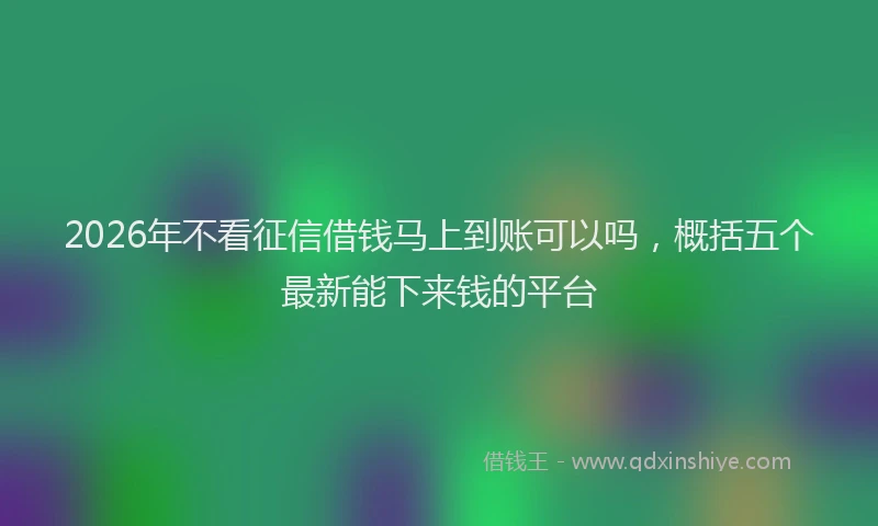 2026年不看征信借钱马上到账可以吗，概括五个最新能下来钱的平台